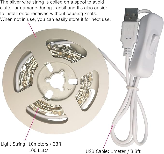 RUICHEN Silver Wire 33 Ft 100 LED USB Fairy String Lights with On/Off Switch (Blue)