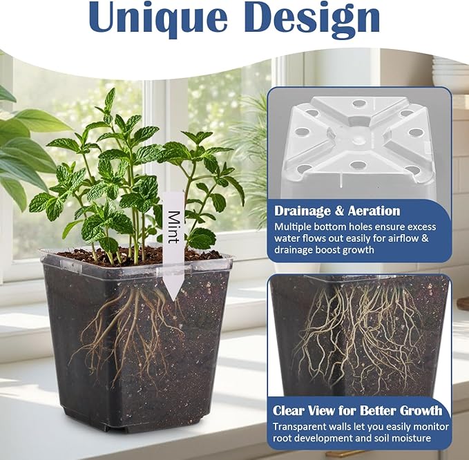 RooTrimmer 5.5 Inch Clear Square Nursery Pots with Drainage & Labels, 30Pcs Reusable Seed Starter Pots for Vegetables, Indoor Outdoor Gardening, Thick Transparent Plastic Plant Pots for Seed Starting