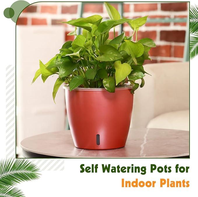 KvyusFlourish Self Watering Pots for Indoor Plants, 6-Pack 5'' Self Watering Planter with Drainage Holes, Small African Violet Pots with Water Indicator, Clear Wick Orchid Pot, Rose Gold