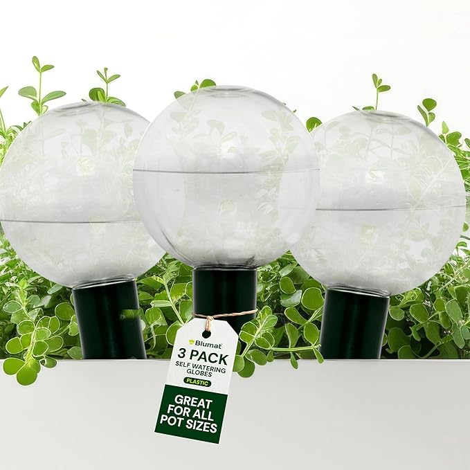 Blumat Clear Globe 3-Pack