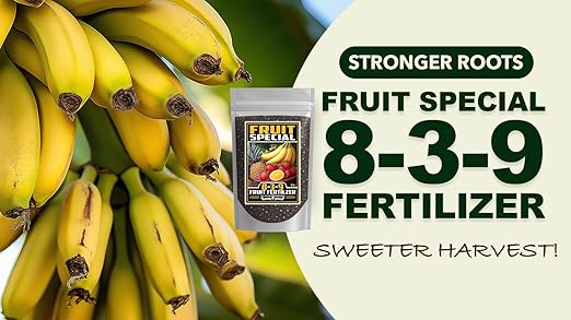 Fertilizer Commercial Grade | Fruit Special 8-3-9 | 1 Pound | Custom Professional Mix Blend | Macronutrients & Micronutrients | Tropical Fruit Plants & Trees | Flowering Post-Harvest Recovery Formula