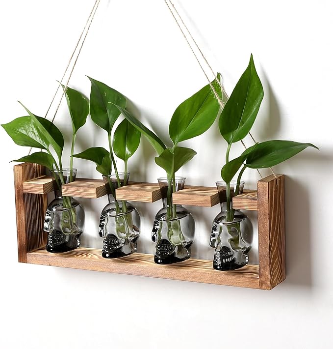 CYZglass Plant Propagation Stations Halloween Skull Plant Terrarium Kit Glass Vases Gift for Father Air Planter Home Office Decor