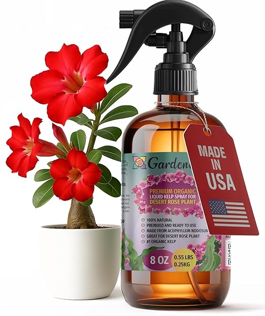 GARDENERA Professional Organic Liquid Kelp Spray for Desert Rose Plants - 8 oz - Ready-to-Use Fully Organic Seaweed & Kelp Fertilizer Mist