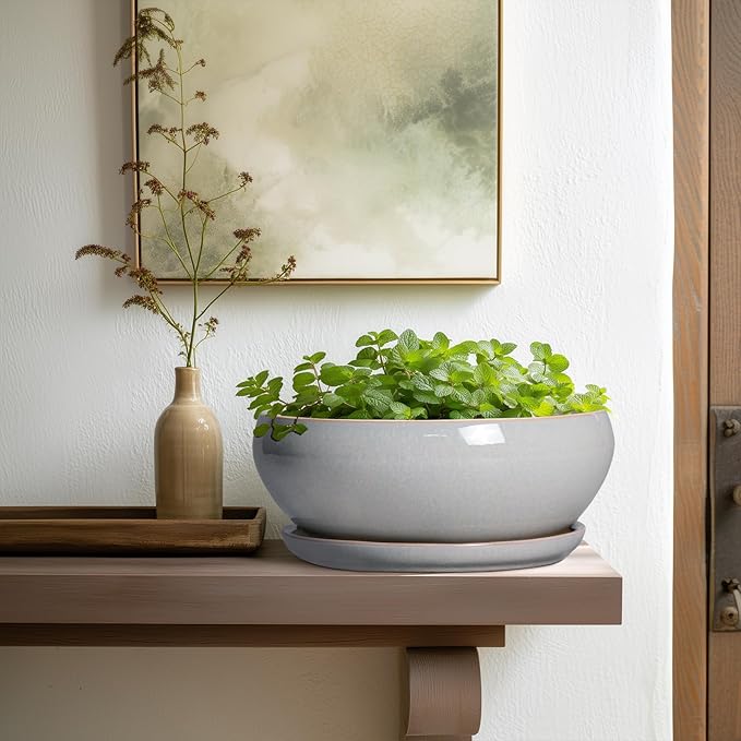 SQOWL Bonsai Pots - 10 Inch Ceramic Succulent Pots with Drainage Hole and Saucer, Large Shallow Indoor Planter, Bowl Round Planter Outdoor, Living Room Decor, Plant Lover Gifts, Gray