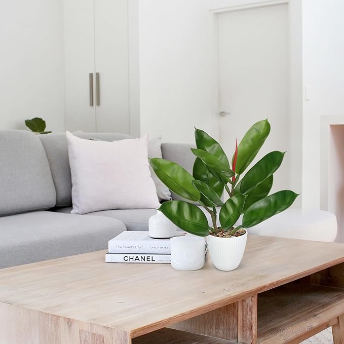 GnFlus Fake Plant Artificial Rubber Tree in White Pot Decor for Farmhouse Home, Office, Kitchen, Counter Top, Indoor Decoration