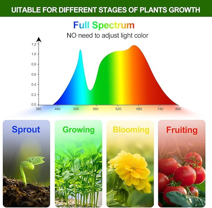 GroCruiser 4-Head Strong Clip Grow Lights for Indoor Plants, Seed Starting, Bonsai, Succulent, Cactus with Timer, 36 Watt Power Home Plug, Enough High-Intensity Like Sun, Best Gift for Plants Lover