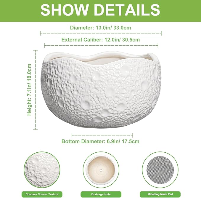Thirtypot Large Bonsai Pots - 13 Inch Ceramic Planter for Indoor Outdoor, Round Plant Pot, Decorative Flower Pots with Drainage Hole, Modern Unique Planters, Garden Decor Home, Garden Gifts, White