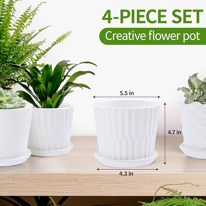 sietpoek Plant Pots - 5.5 Inch Cylinder Ceramic Planters with Connected Saucer, Pots for Succuelnt and Little Snake Plants, Set of 4, White