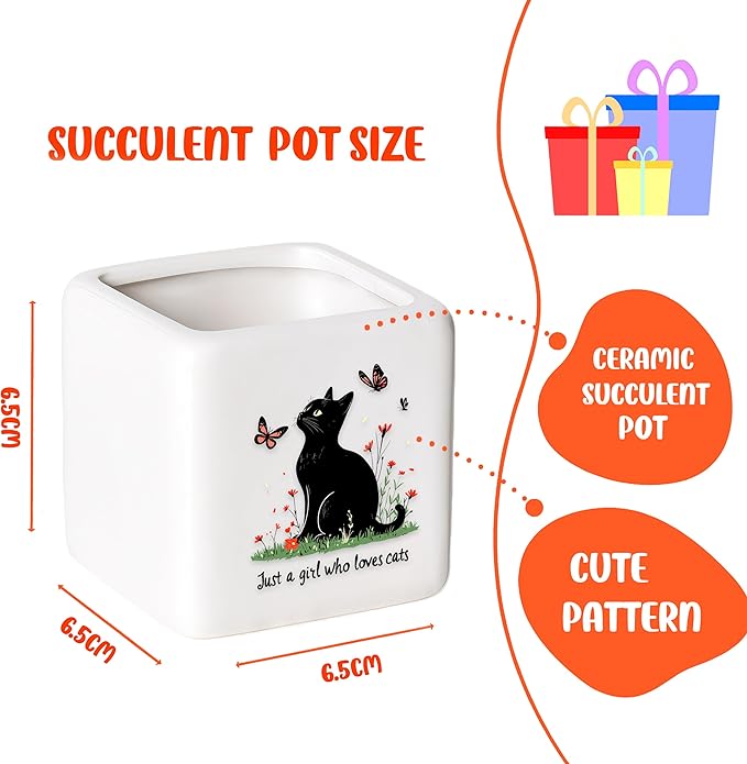 BJDAMAI Black Cat Succulent Planter Flower Plant Pot Small, Gifts for Women Teens Girls Kids, Cat Lovers Themed Stuff Accessories Things Decor Merch, Home Office Table Desk Decoration!