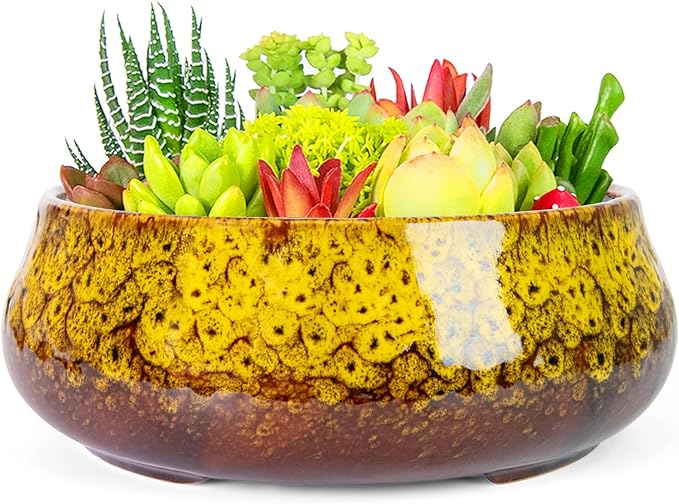 ARTKETTY Succulent Pots - 8 Inch Plant Pot, Large Bonsai Pots with Drainage, Ceramic Planters for Indoor Outdoor Plants, Round Shallow Cactus Flower Plant Container Bowl Decorative Home Garden