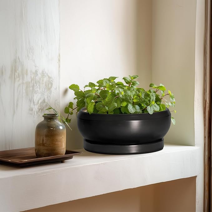 EPFamily Succulent Planters 8 Inch - Ceramic Bonsai Pots for Indoor Outdoor, Round Succulent Pots with Drainage Hole and Saucer, Modern Shallow Planter Bowl, Garden Home Decor, Birthday Gifts, Black