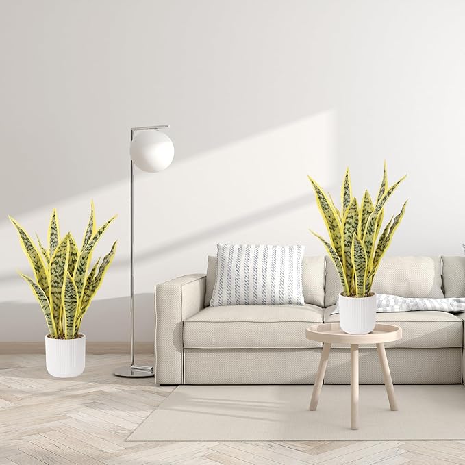 Artificial Realistic Snake Plant 21.5" with White Pot Fake Snake Plants Sansevieria Greenery Faux Snake Plant for Home Office Living Room Housewarming Gifts Indoor Decor-LightYellow