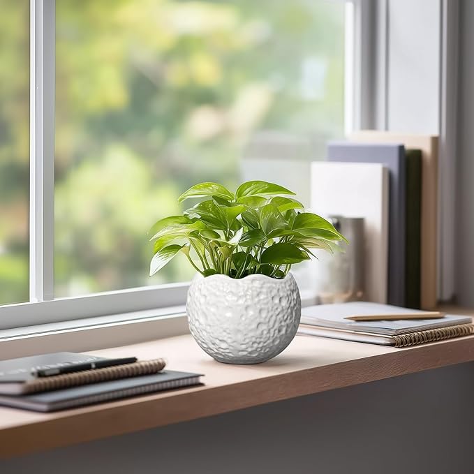 Thirtypot 4 inch Plant Pots - Ceramic Pots for Plants with Drainage Hole, Small Planter for Indoor Outdoor, Unique Succulent Pot, Decorative Modern Round Planter, Desk Decor, Plant Lover Gifts, White