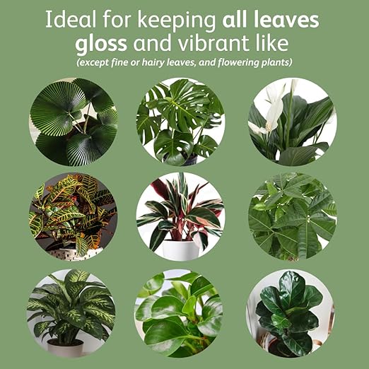 Chrysal LeafShine Spray for Indoor Plants - 5.6 oz (250 ml)