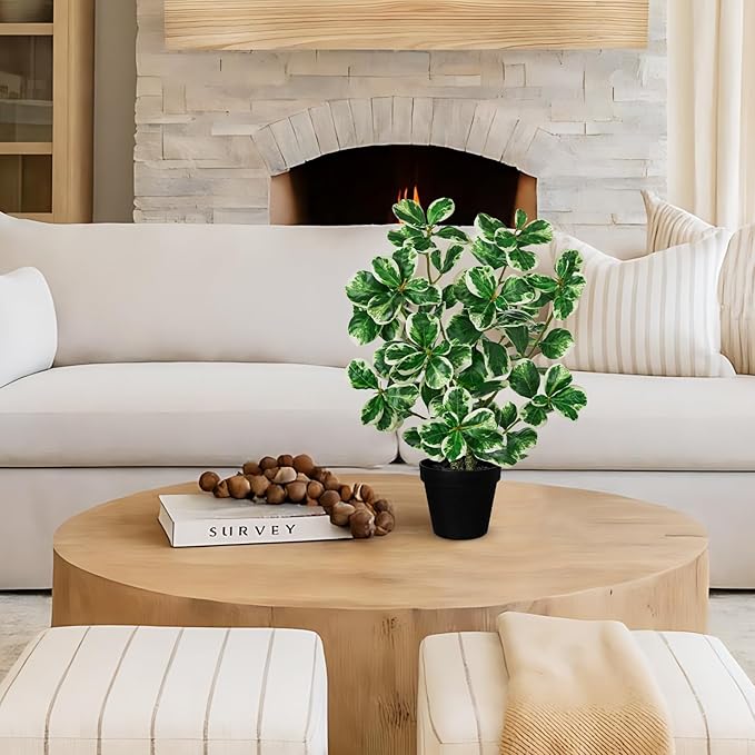 20" Artificial Rubber Tree Plant in Black Pot, Faux Ficus Tree Plant Potted with Cream White Edge Leaves, Fake Greenery Plant for Home Office Tropical Decor