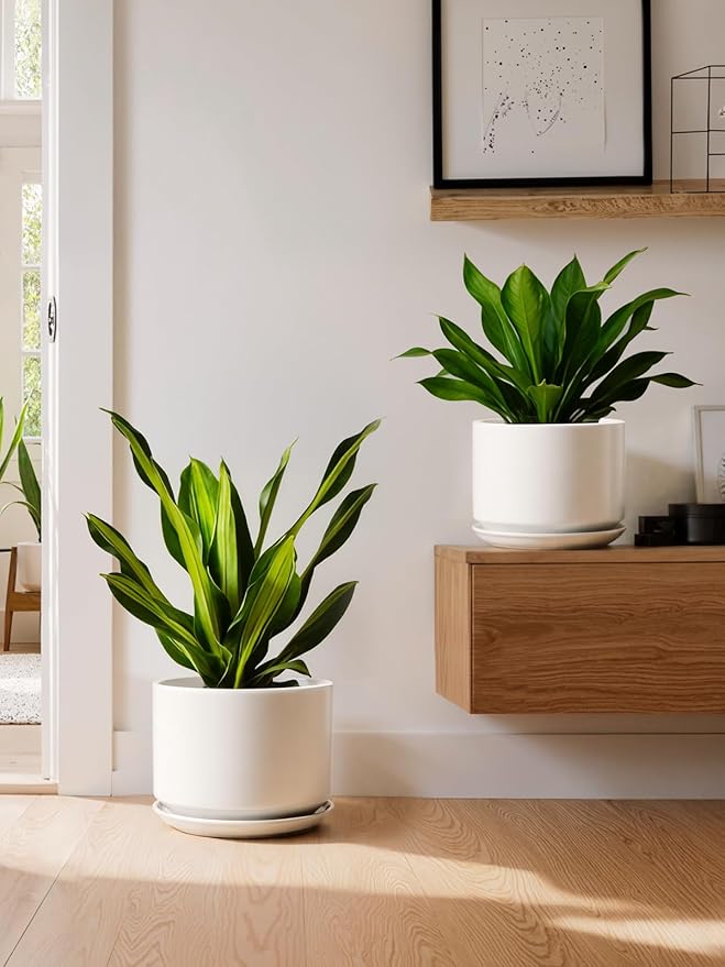 LE TAUCI Ceramic Plant Pots, Set of 2, 8+10 Inch Plant Pots Indoor with Drainage Hole & Saucer, Sturdy Planters for Indoor Plants, Modern Minimalist Decor for Snake Plant, Monstera, White