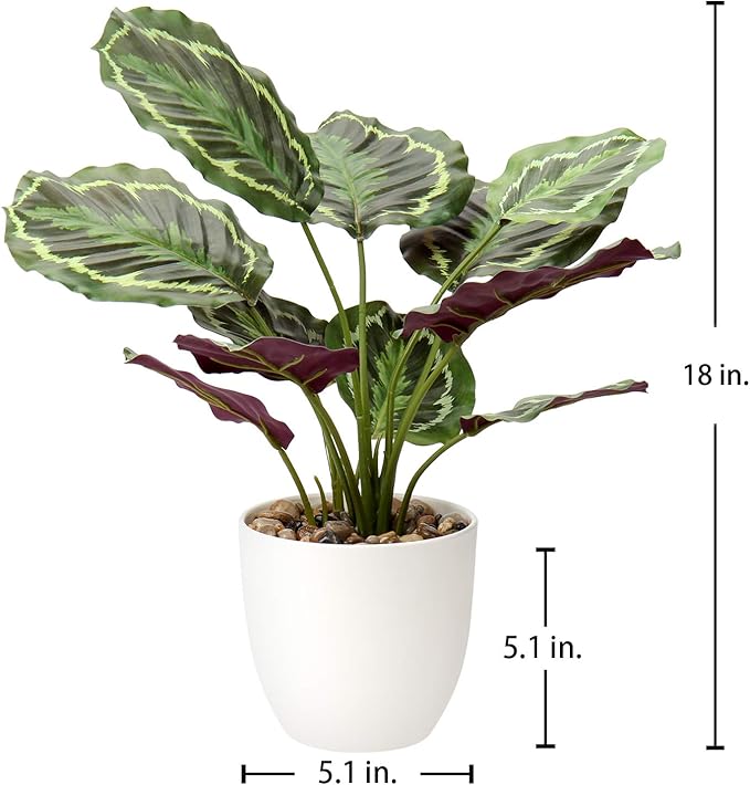 Briful 18'' Tall Fake Plant for Home Decor Artificial Calathea Plant with Large Leaves Real Touch Potted Faux Plant in White Pot for Living Room Kitcehn Bathroom Indoor Decor