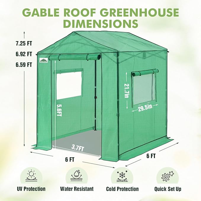EAGLE PEAK 6x6 Portable Pop Up Greenhouse, Patented Center Lock Easy One Person Setup, Walk-in Outdoor Greenhouse with Gable Roof, Weight Bags, Zippered Doors & Windows, Green