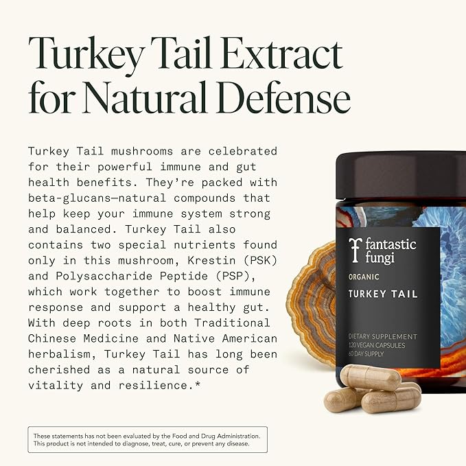 Fantastic Fungi Turkey Tail Mushroom Capsules - Organic Mushroom Extract for Gut Health & Immune Support, Functional Adaptogenic Turkey Tail Extract Supplement, Vegan Pills, 120 Caps (2-Month Supply)