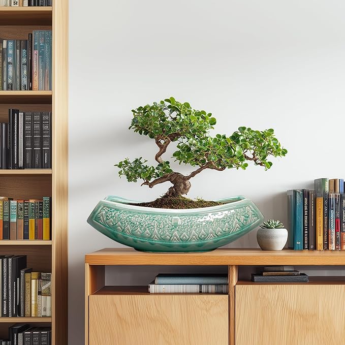 Teagas Bonsai Tree Pot - 18 Inch Ceramic Succulent Pots for Indoor Outdoor, Large Bonsai Planter with Drainage Hole, Ceramic Flower Pot, Decorative Planter, Gifts for Plant Lovers, Room Decor, Green