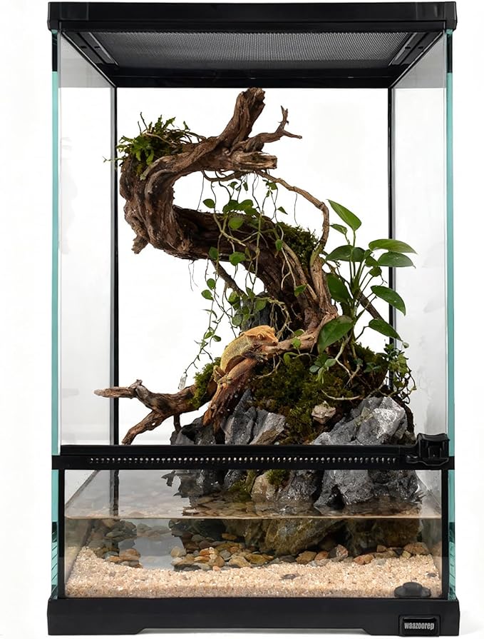 waazoorep 11 Gallon Tall Reptile Glass Tank 12"x12"x18" with Drainage Hole - Pre-Assembled Vertical Reptile Cage Enclosure for Arboreal Geckos,Chameleon,Lizard,Tree Frog and Snake