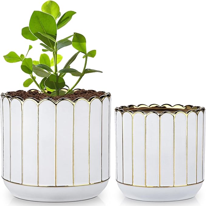 Ceramic Plants Pot 6.2+5.3 Inch Petal-Shaped Rim Pots Set of 2 for for Indoor Outdoor Succulent Plants or Flowers Gold and White