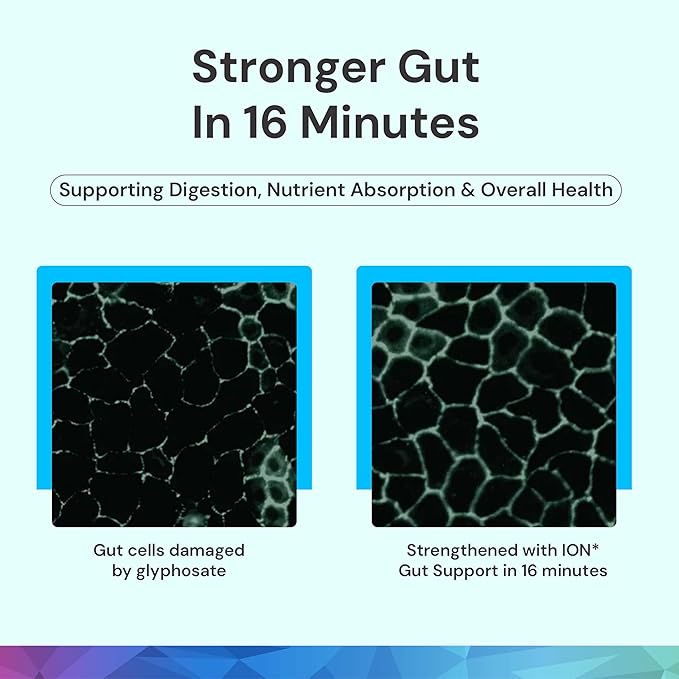 ION* Intelligence of Nature Gut Support Liquid Supplement - Gut & Digestive Health Liquid Drops, Cleanse & Detox with Humic Extract for Women & Men, Adults & Kids 4+ - 8 fl oz (Pack of 1)
