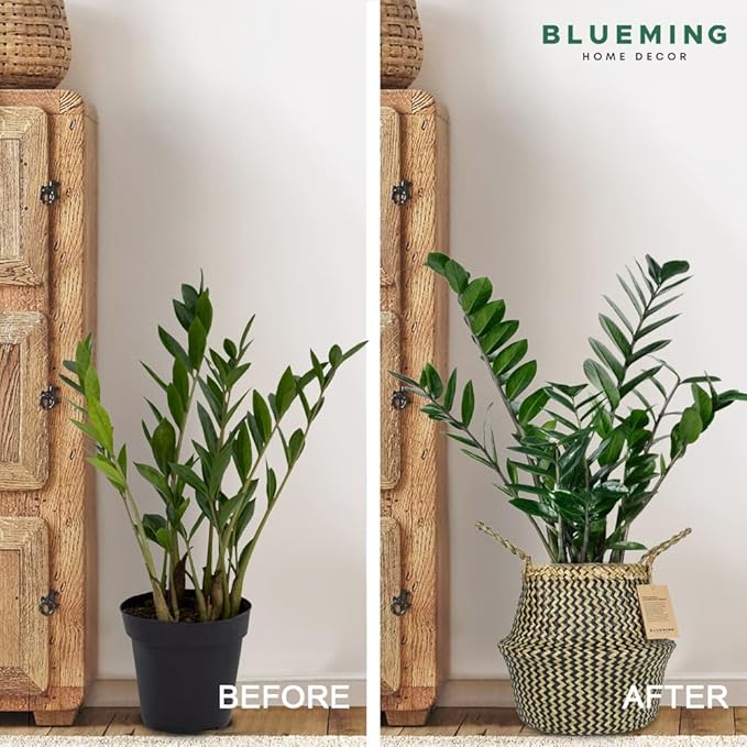 Blueming Wicker Plant Basket – Small 8-9 Inch Medium Seagrass Pot for Faux Olive Tree, Snake Plant or Houseplants, Black Decorative Planter for Home Decor