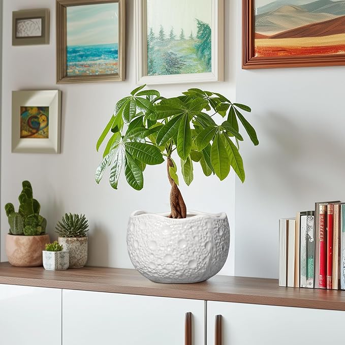 Thirtypot Ceramic Plant Pot - 8 Inch Round Planter with Drainage Hole, Decorative Plant Pots for Indoor Outdoor Plants, Modern Unique Flower Pots, House Living Room Decor, Housewarming Gifts, White