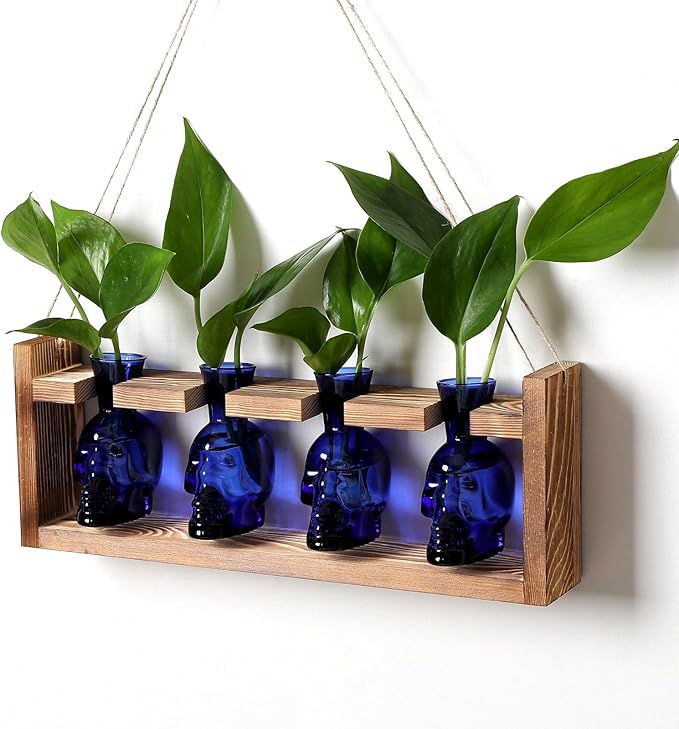 CYZglass Plant Propagation Stations Halloween Skull Plant Terrarium Kit Glass Vases Gift for Father Air Planter Home Office Decor