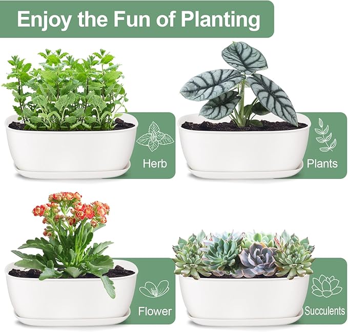 Oliz Set of 8 White Oval Shallow Herb Garden Planters with Drainage Holes and Trays (8.66 Inch) Plant Pots for Herbs Basil Orchids Succulents, Modern Herb Garden Planter for Indoor/Outdoor Plants