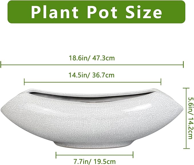 Teagas Ceramic Bonsai Tree Pot - 18 Inch Ceramic Pots for Plants, Large Succulent Planter with Drainage Hole for Indoor Outdoor, Unique Planters for Flower, Home Decor, Gardening Gifts, White-Black