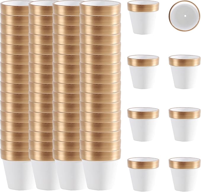 72 PCS Small Mini White&Gold Clay Pots with Drainage Holes,2.5inch Terra Cotta Pot Clay Ceramic Pottery Planter,Succulent Nursery Pot/Cactus Plant Pot,for Indoor/Outdoor Plants, Crafts, Wedding Favor