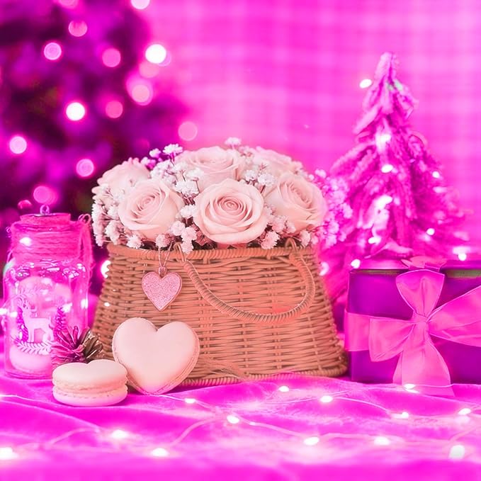 LAMPHOME Valentine's Day Pink Fairy Lights Plug in, 33Ft 100 LEDs Waterproof Twinkle Firefly Lights, Adaptor Included, Starry String Lights for Wedding Indoor Outdoor Christmas Patio Garden