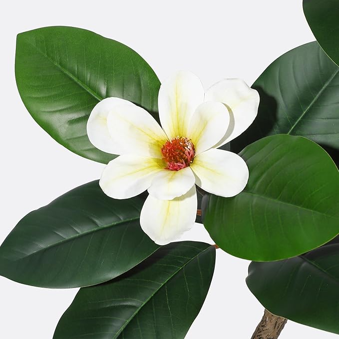 5FT Rubber Tree Artificial Tree, Fake Floor Plant with 7 Pcs Magnolia Flowers in White Planter Bonsai Planter, Indoor Tall Faux Plants for Living Room Home Decor, Gifts for Women