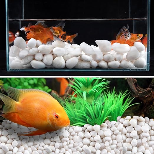 Lechloris 10LB White River Rock- High Polished Pebbles for Indoor Plants- Decorative Stones for Aquarium Fish Tank - White Rocks for Outdoor Garden Landscaping - 0.3"-0.8"