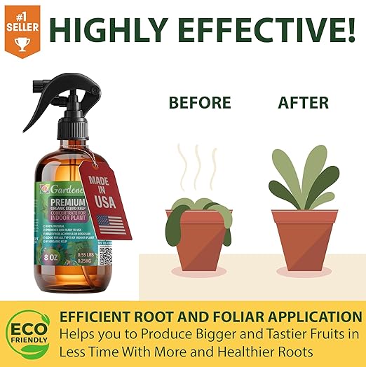 GARDENERA Professional Organic Liquid Kelp Spray for Tomato Plants - 8 oz - Ready-to-Use Fully Organic Seaweed & Kelp Fertilizer Mist