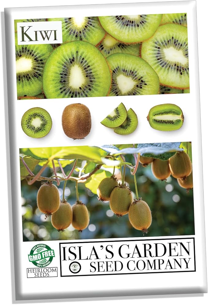 Kiwi Seeds for Planting, 30+ Seeds per Packet, (Isla's Garden Seeds), 50-70% Germination in Prime Conditions, Tree/Vine, Scientific Name: Actinidia chinensis, Great Fruit Garden Gift