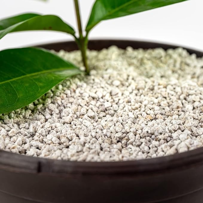Premium Organic Perlite - (Made in Ukraine) Horticultural Soil Amendment for Indoor & Outdoor Container Plants for Drainage Management and Enhanced Growth - 1 Quart