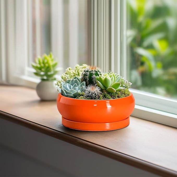 EPFamily Succulent Planters 6 Inch - Small Bonsai Pots Ceramic, Succulent Pots with Drainage Hole and Saucer, Shallow Planters Indoor Outdoor, Round Cactus Pot, Office Decor, Gardening Gift, Orange