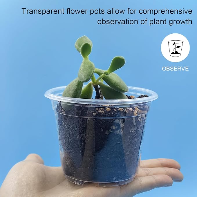 RooTrimmer 100 Pack 2.8 Inches Clear Plant Pots with Drainage Holes, Transparent Seeding Nursey pots, Round Plastic pots for Seeds Starter, Seeds Germination
