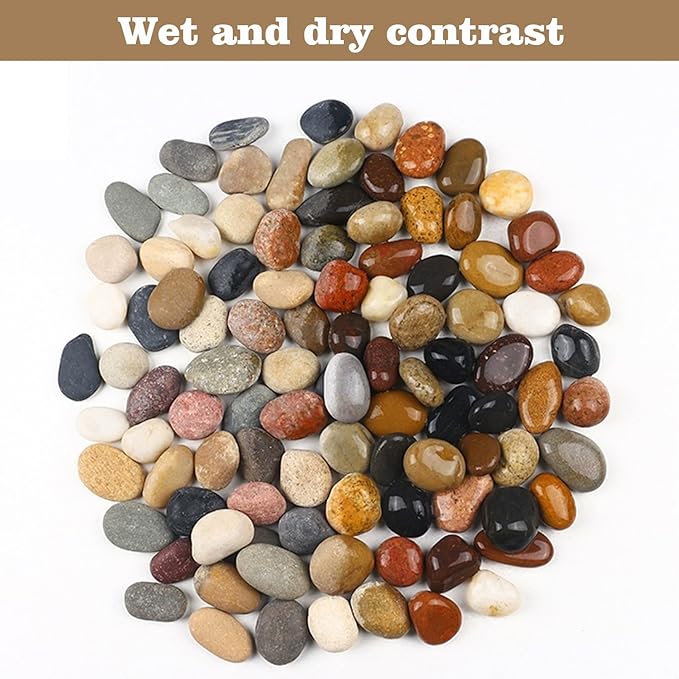 FAHAXIKI Natural River Rocks-10 lbs of Pebbles and River Stones,2-3 Inch Plant Rocks for Landscaping,Garden Paving,Crafting,Walkways,and Outdoor Decorative Stone,Mexican Beach River Rocks