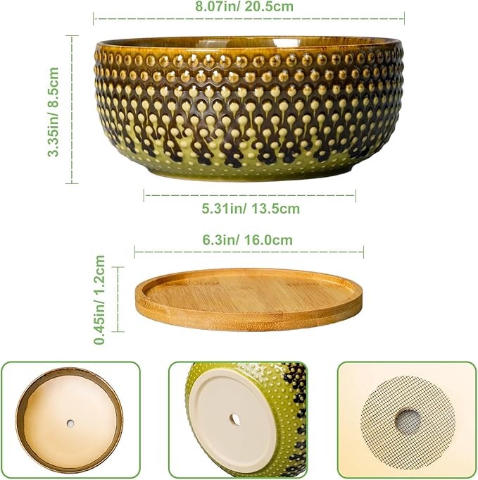 EPFamily Bonsai Pots 8 Inch - Ceramic Planter for Indoor Plants, Succulent Pots with Drainage Hole and Plant Tray, Modern Round Decorative Flower Planters, Home Decor, Brown & Green