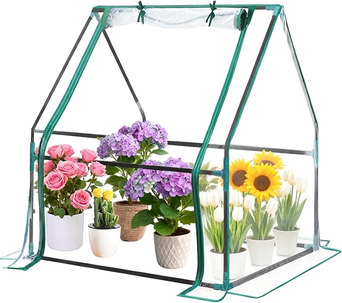 35x35x36 Mini Greenhouse, Portable Green House for Outside, Greenhouses Kit for Outdoor Indoor Thicken PVC Cover (Clear Cover, 2.9x2.9x3 FT)