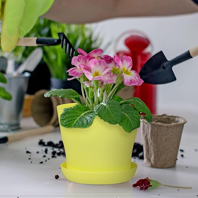 Hahood 36 Pack 4 Inch Plastic Plant Pots with Saucers Colorful Flower Plant Container Seed Starting Pots Thickened Seedlings Nursery Pots for Home Garden Indoor Outdoor Flowers, 9 Colors