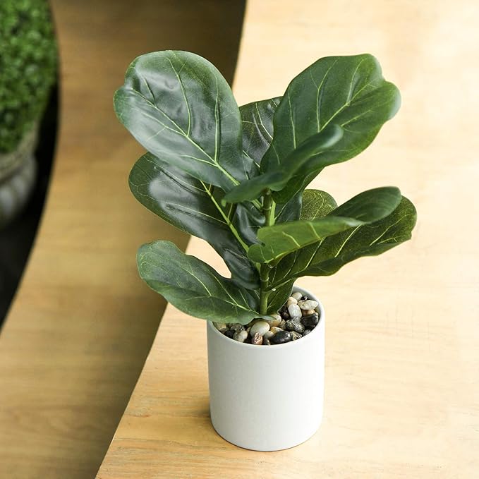 Briful Small Fake Fiddle Leaf Fig Plant - 13" Artificial Ficus Lyrata in White Ceramic Pot for Home Decor Indoor Table Office Bathroom Shelf