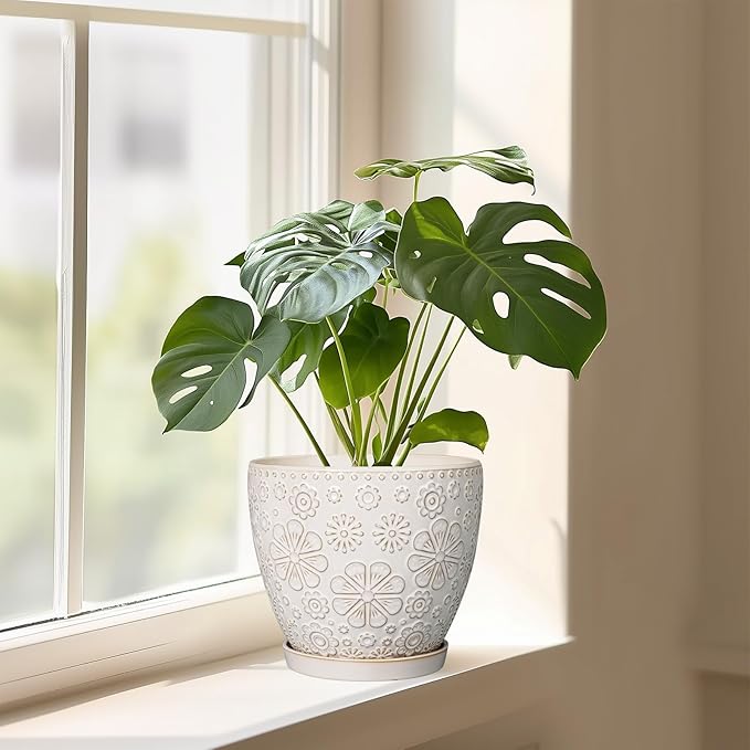 MPotTo Ceramic Planter 8 Inch Plant Pot with Drainage Hole and Saucer Ceramic Pots for Indoor Plants Outdoor Large Flower Pot for Home Decor White