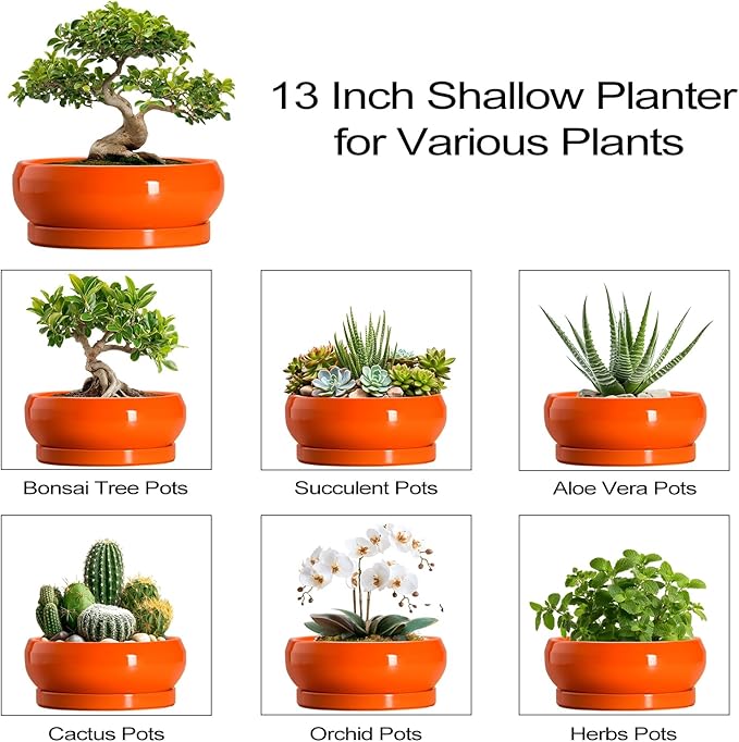 EPFamily Bonsai Pots - 13 Inch Ceramic Succulent Pots with Drainage Hole and Saucer, Shallow Planter for Indoor Outdoor, Bonsai Planters, Large Planter Bowl, Porch Decor, Gift for Plant Lover, Orange