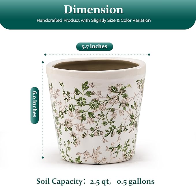 Teweiqi Ceramic Planter with Drainage Hole, Plastic Tray & Mesh, 6 Inch - Indoor/Outdoor Flower Pot for Orchids, Succulents, Green Floral Modern Farmhouse Décor for Home,Office and Garden, Ideal Gift