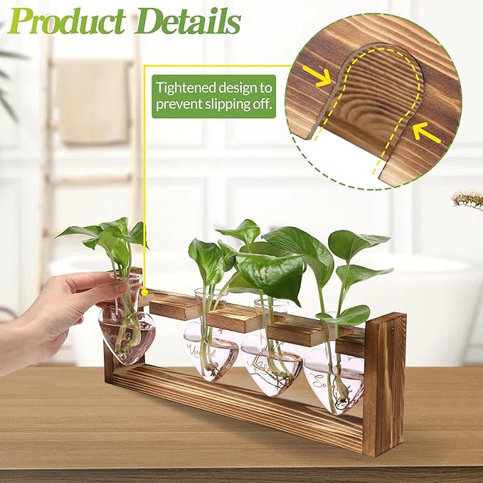 CYZglass Plants Propagation Stations Plant Terrarium Kit for Bathroom Glass Planters for Indoor Plants Bathroom Decor Accessories - Relax Soak Unwind Breathe